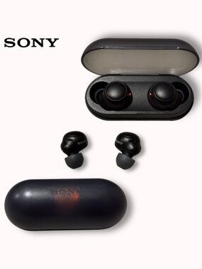 Sony WF-C500 Truly Wireless Earbuds
